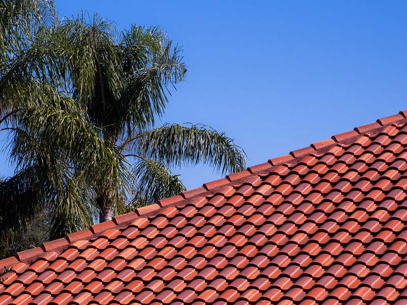 Roofing Expertise